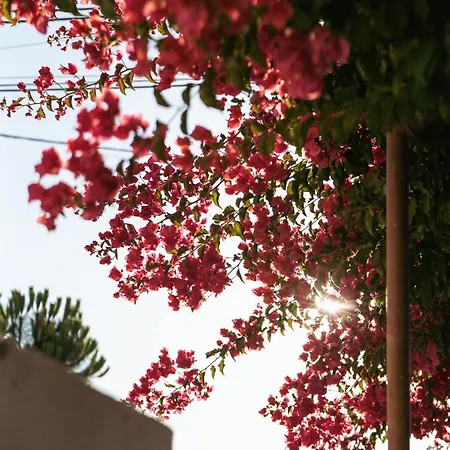 Caparica Casa Rey By Hopstays *